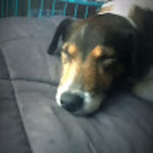 Meet your Posher, Erma